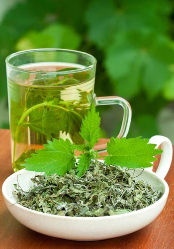Nettle Dried Cut Leaves , 4 oz. , Hojas De Ortiga , Nettle Leaf Tea , Resealable Bag , Product from Croatia , Packaged in the USA (Nettle Leaf 4 oz.)