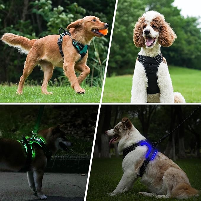 Taglory Light Up Dog Harness, Rechargeable No Pull Dog Vest with 3 Lightning Modes, Reflective Dog Harness with 2 Leash Clips & 4 Adjustable Slide Strips for Large Dogs, Black-Blue, XL