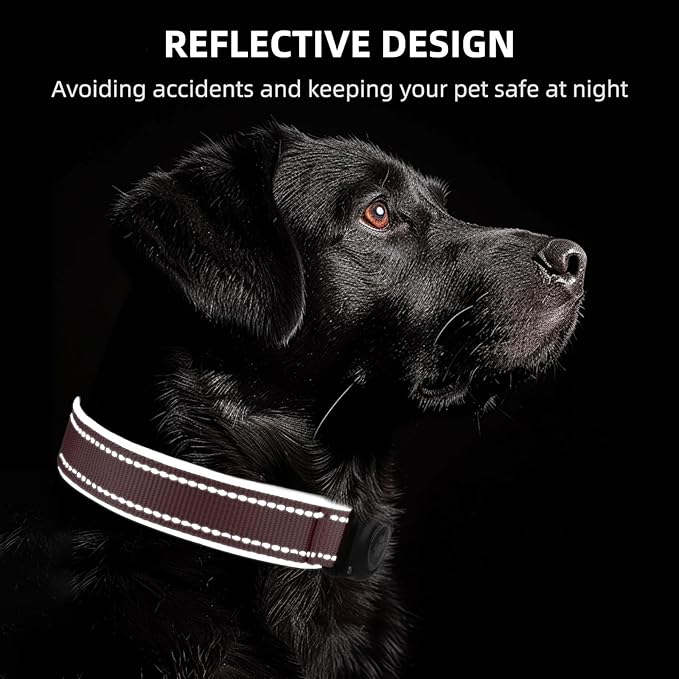 Airtag Dog Collar - 100% Waterproof Air tag Dog Collar Holder for Apple AirTag, Reflective, Soft Padded, Everlasting, GPS Dog Collar for Small Medium Large Dogs (Pink, S)