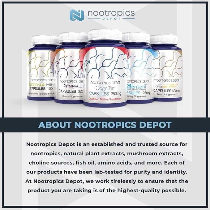 Nootropics Depot Poria Mushroom Capsules | 500mg | 60 Count | Wolfiporia extensa