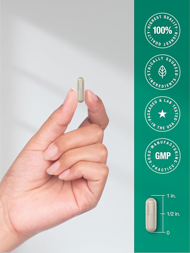 Horbäach Hyaluronic Acid Capsules | 250 mg | 240 Count | Non-GMO and Gluten Free Supplement