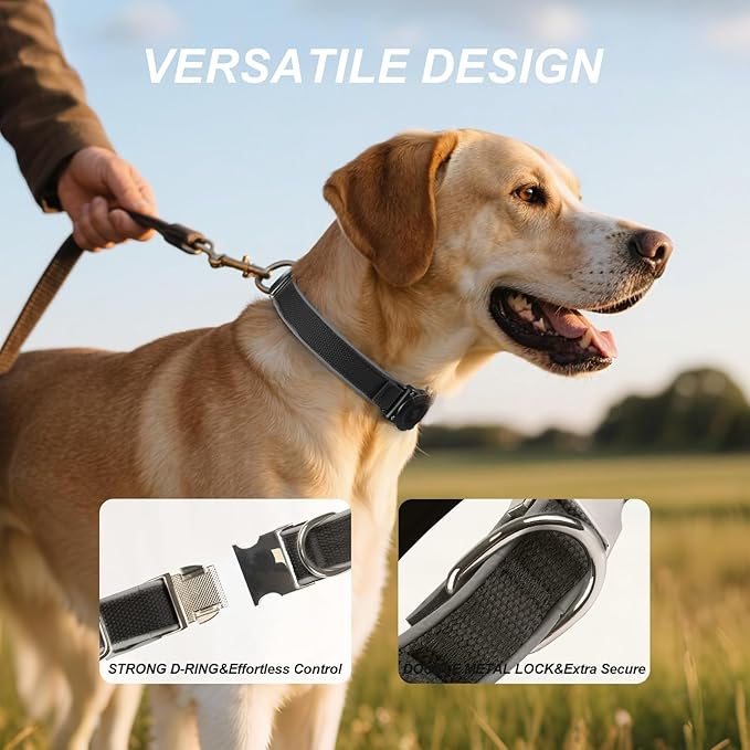 Waterproof Airtag Dog Collar - Nylon Collar with Durable Airtag Holder, Reflective&Anti-Lost with Safety Metal Buckle, Soft Padded Adjustable for Small Medium Large Dogs Black M