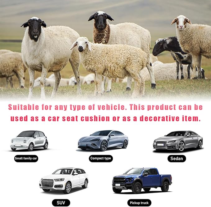 Sheepskin Car Seat Cushion, Comfortable Soft Fur Wool Auto Front Seat Cover, Vehicle Seat Protector Pad for Warm Winter Office Chair, Universal Decor Car Accessories (Black)