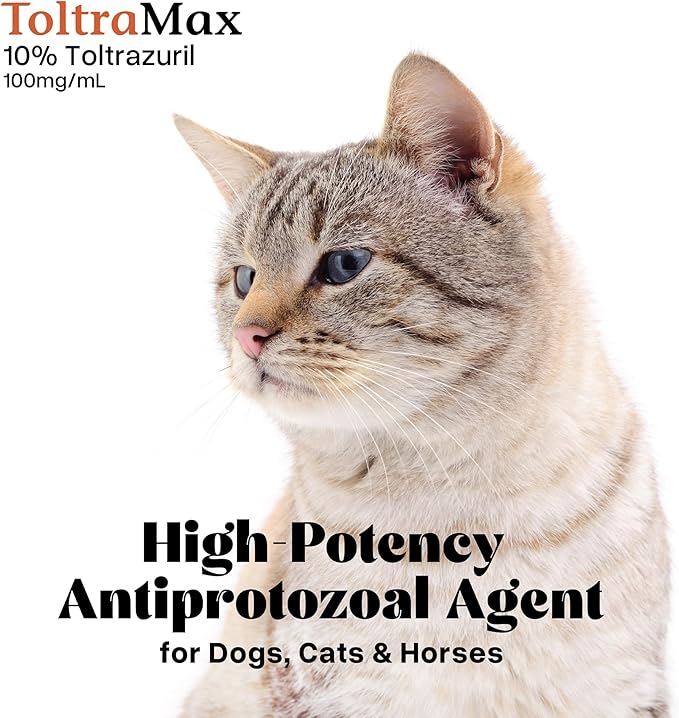 Toltrazuril 10.0% for Horses, Dogs, Cats, 960mL/32.4 Ounce, for Non-Food Chain Animals, Peanut Butter