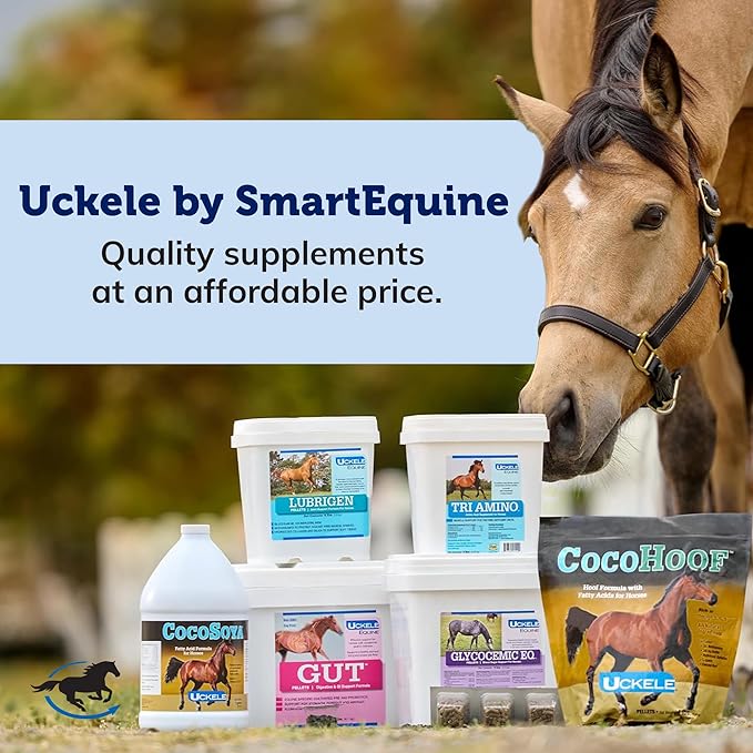 Uckele by SmartEquine GTF Chromium® Powder | Horse Metabolic Supplements, Supports Metabolic Function | 5 lb Bucket