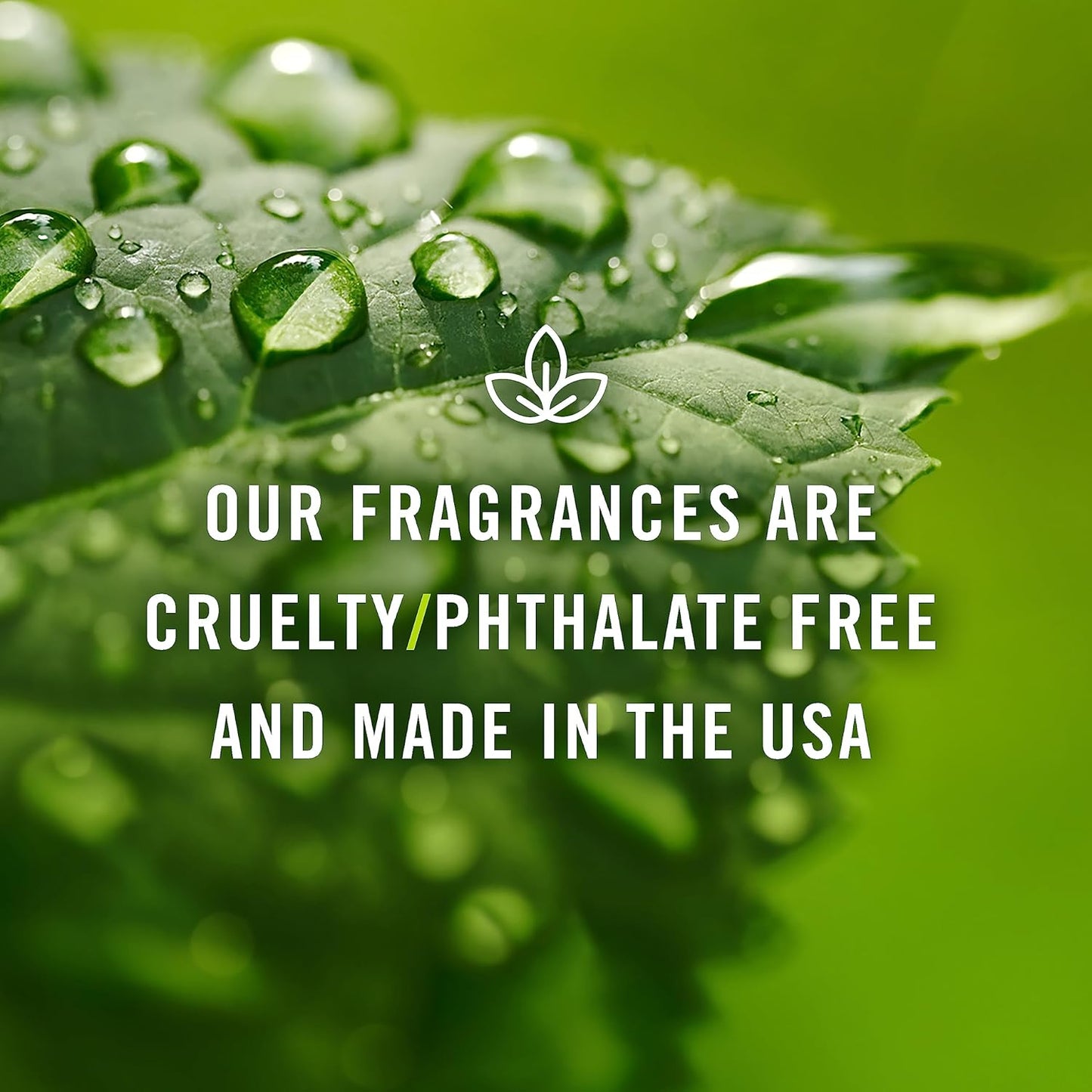 P&J Fragrance Oil | Apple Oil 100ml - Candle Scents for Candle Making, Freshie Scents, Soap Making Supplies, Diffuser Oil Scents