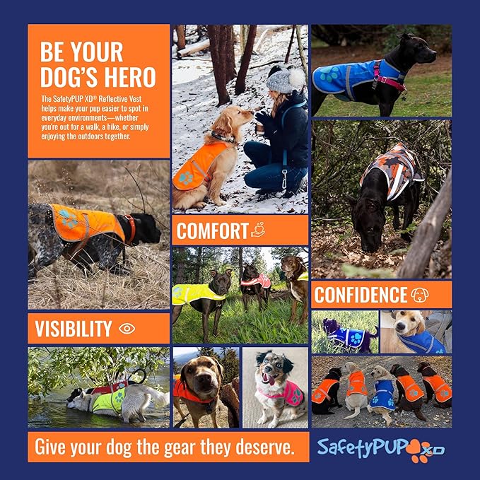 Dog Reflective Vest – Hi-Vis Fluorescent Visibility That Helps to Safeguard Your Pet On/Off Leash in Urban & Rural Areas (Blue, X-Large)