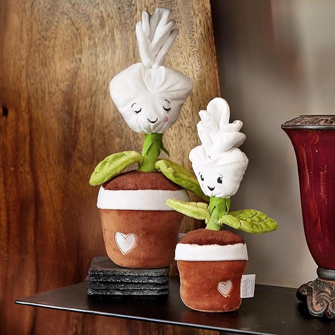 Hug Feel The Love Soil Mates – Rose – Plush Plant Home Decor, Plush Shelf Decor, Cute Home Decor, Lil’ Seedlings Plush Toy, Thoughtful Message, 9 inches