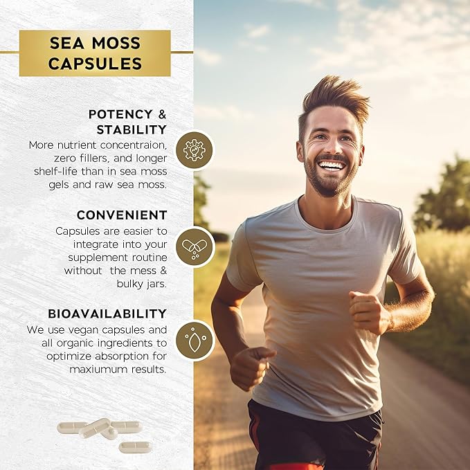 Sea Moss Black Seed Oil Ashwagandha Turmeric Bladderwrack Burdock - with Manuka, Honey Dandelion, ACV Black Pepper Gluten Free - 60 Count