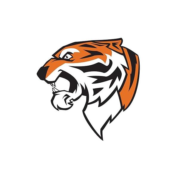 Anderson's 25-Piece Tiger Head Body Decal Set, Tattoos, Cheek Cheers, Fan Gear, Sports Gear,School Spirit, Football Cheerleader Accessories, Homecoming