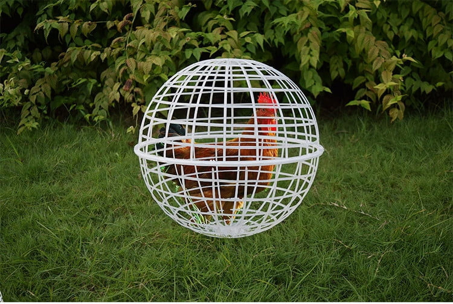 Free-Range Chicken Cage | Plastic Spherical Movable Coop for Chickens Rabbits | Rolling Round Enclosure | Spacious with Perches | Predator-Proof Mesh | Easy Clean | Outdoor Use | 1 Pack