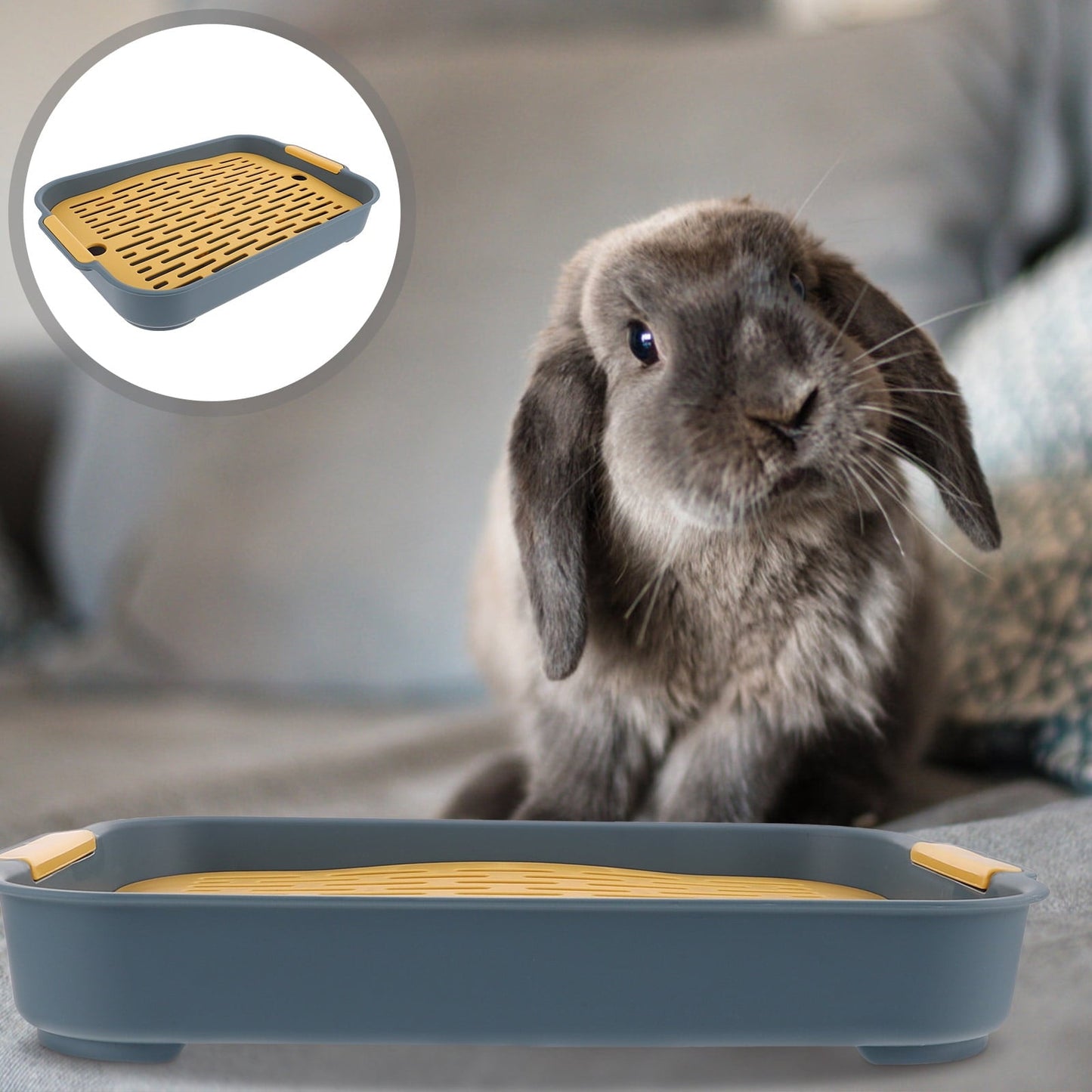 WASHWEPE Small Pet Litter Pan Hamster Toilet Navy PP 1Pack