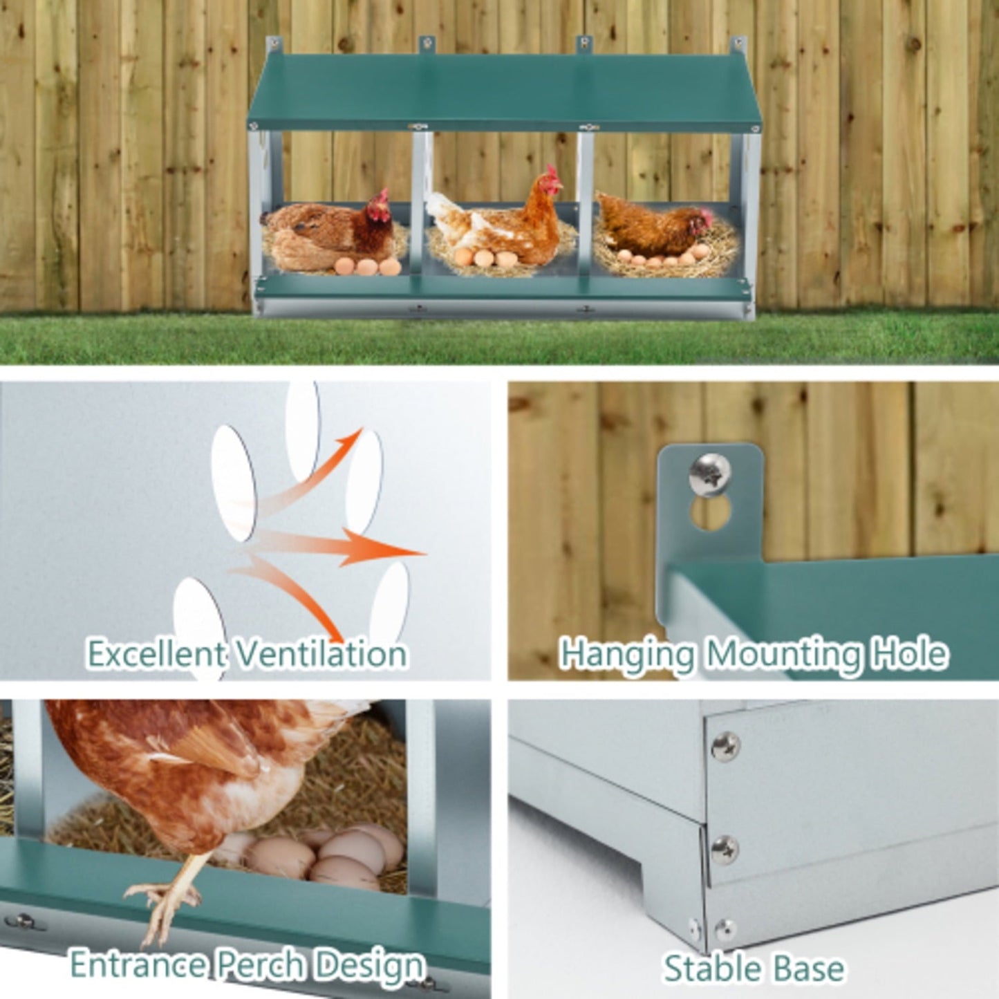 Metal Chicken Gaanized steel Nesting Boxes for Hens Easy to Assemble