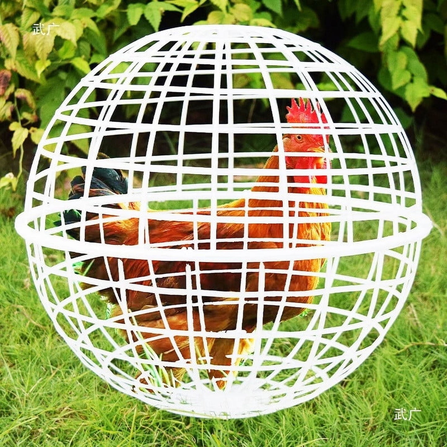 Moocorvic 12'' Pet Removable Safety Cage Chicken Coop Ball Rolling Enclosure Outdoor Farms Courtyard, for Birds Ducks Chickens
