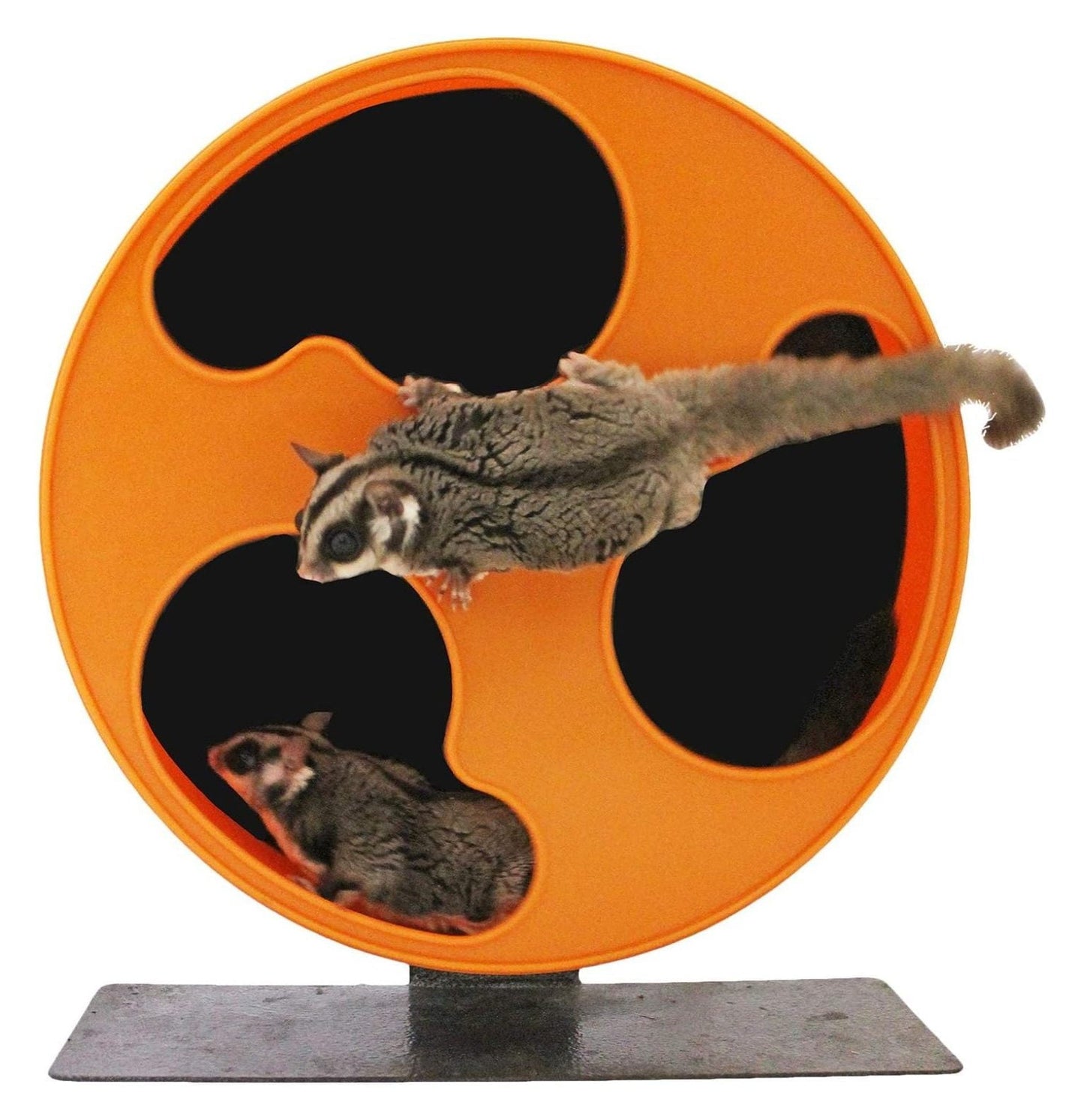 YfulYde Silent Runner 12" Regular Wheel + Autoclean Track + Sandy Track + Cage Attachment - Pet Exercise Wheel Package Set - for Sugar Gliders, Female Rats, Hamsters, Mice, Small Pets