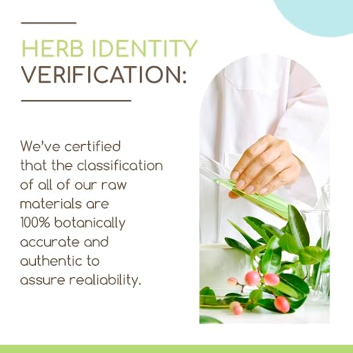 Chicory B60 Alcohol-Free Herbal Extract Tincture, Super-Concentrated Chicory (Cichorium Intybus) Dried Root Powder (2 fl oz)