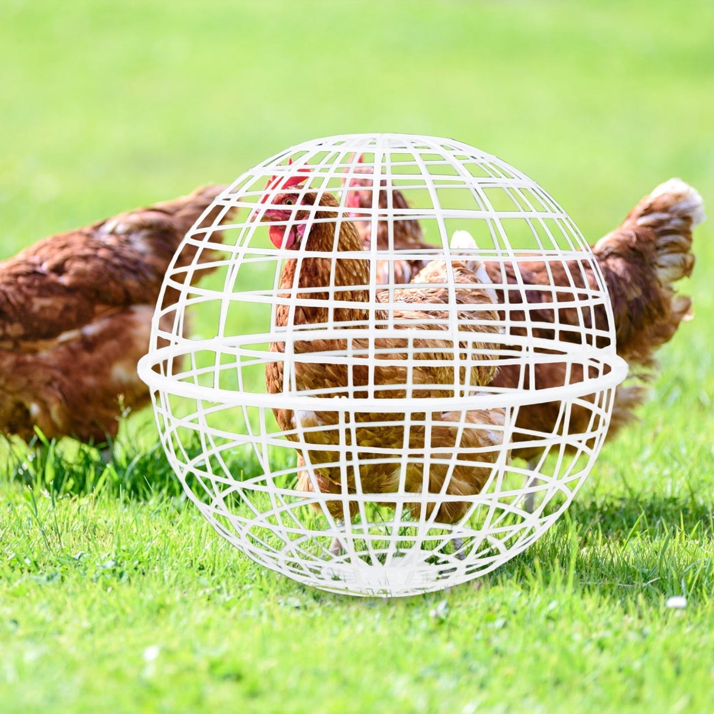 Moocorvic 12'' Pet Removable Safety Cage Chicken Coop Ball Rolling Enclosure Outdoor Farms Courtyard, for Birds Ducks Chickens