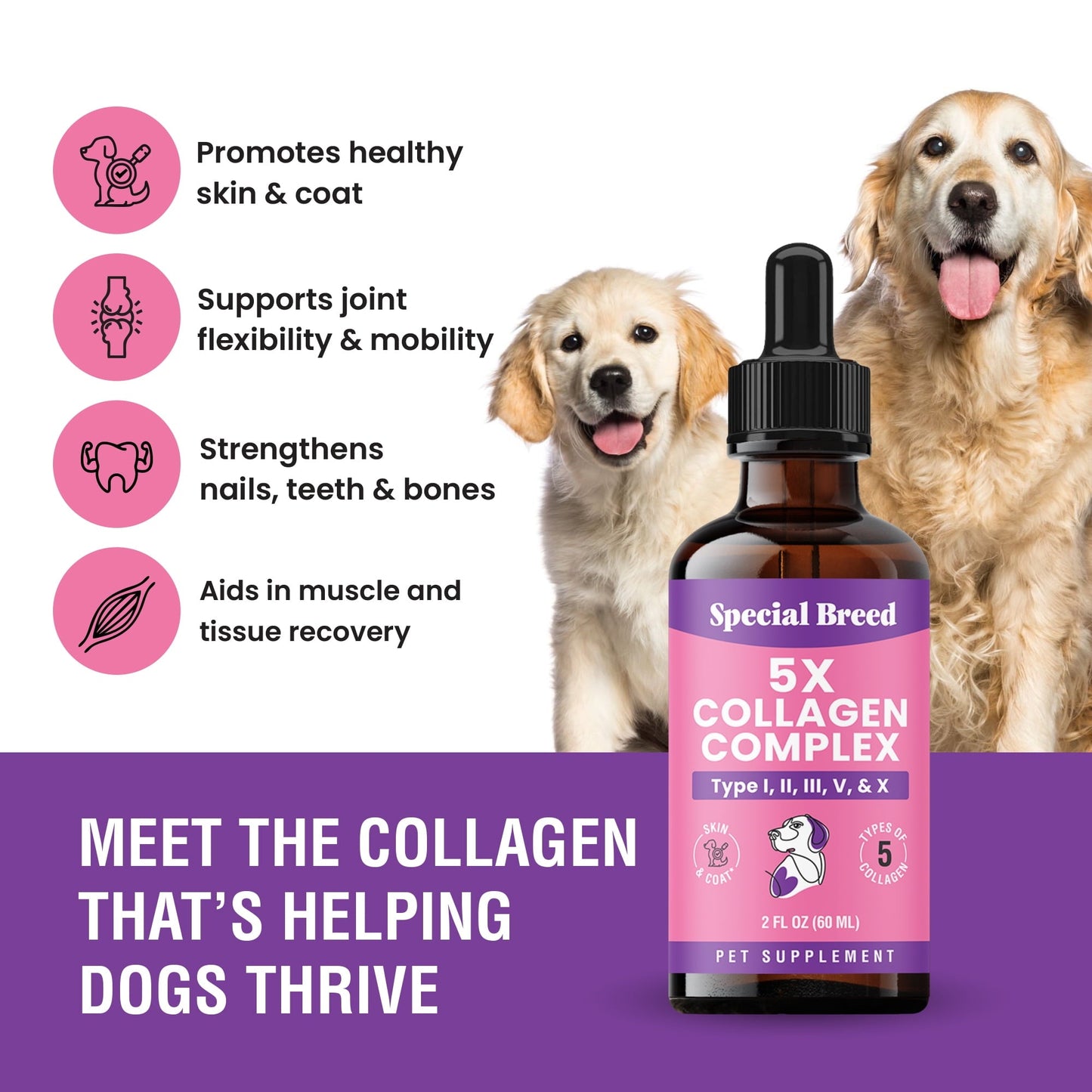 Premium Liquid Collagen For Dogs - 5x Collagen Types I, II, II, V & X - Support For Joints, Skin, Coat, Bone, Immune System & Hips - Collagen Supplement With Hyaluronic Acid - Made In USA - 2oz