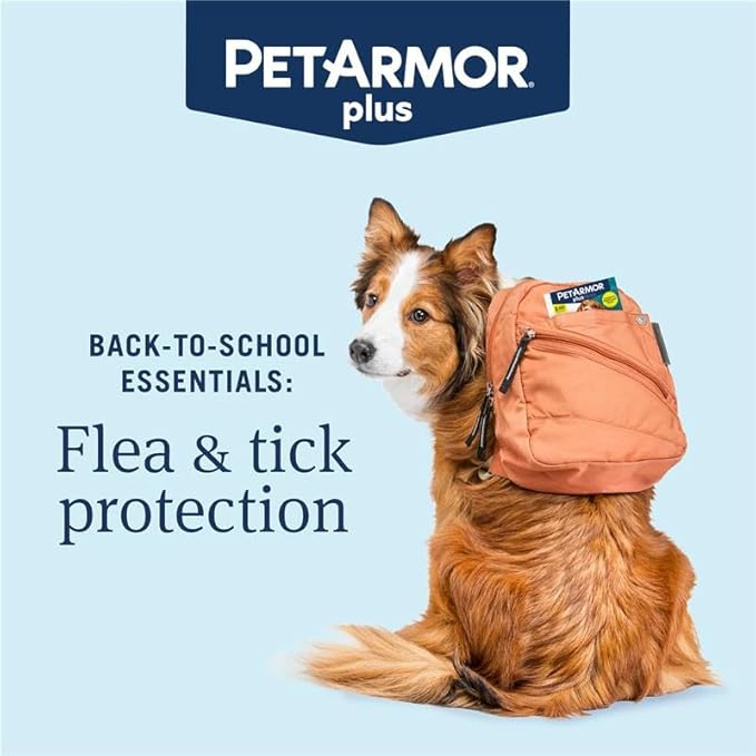 PetArmor Plus for Dogs Flea and Tick Prevention for Dogs, Long-Lasting & Fast-Acting Topical Dog Flea Treatment, 6 Count, small