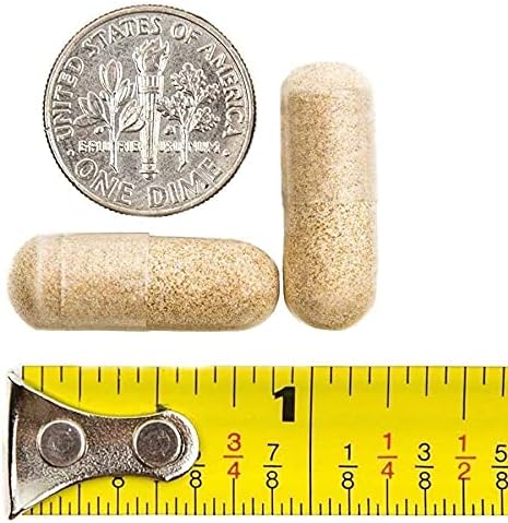 BariatricPal 90-Day Bariatric Vitamin Bundle (Multivitamin ONE 1 per Day! Capsule with 45mg Iron and Calcium Citrate Soft Chews 500mg with Probiotics - Caramel Apple)
