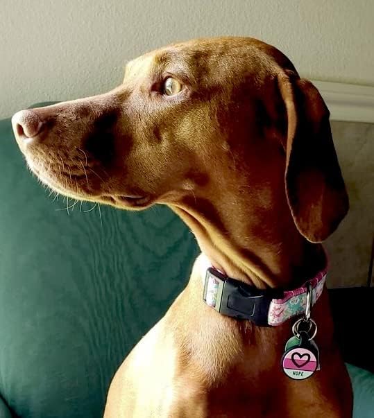 LYP - Our Original Soundless Pet ID Tag - Largest Line of Silicone Dog Tags - No More Jingling Dog Tags -Durable - Never Fades - Customized Deep Engraved Silicone (Heart - Purple)