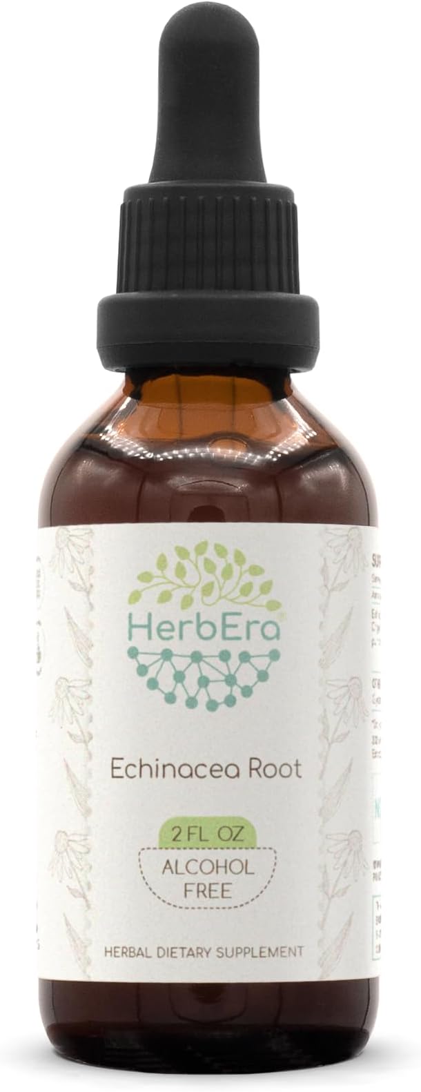 Echinacea Root B60 Alcohol-Free Herbal Extract Tincture, Super-Concentrated Responsibly farmed Echinacea (Echinacea Purpurea) Dried Root 2 fl oz
