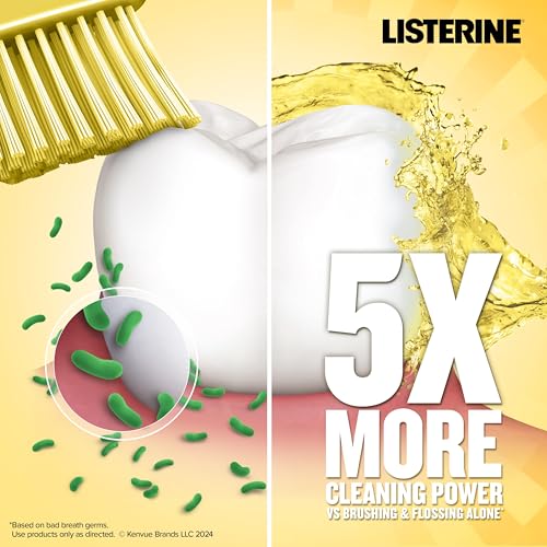 Listerine Original Antiseptic Oral Care Mouthwash to Kill 99.9% of Germs That Cause Bad Breath, Plaque and Gingivitis, ADA-Accepted Mouthwash, Original Flavored Oral Rinse, 1.5 L, 6 Pack