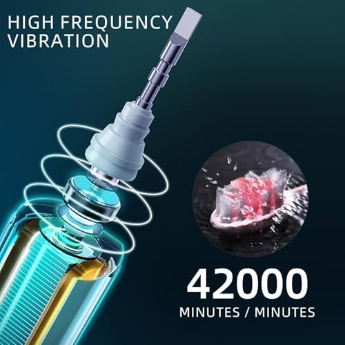 Sonic Electric Toothbrush with 10 Brush Heads for Adults and Children, Up to 30 Days on a Single Charge, 5 Modes, Built-in 2-Minute Smart Timer, IPX8 Waterproof Electric Toothbrush (Black)