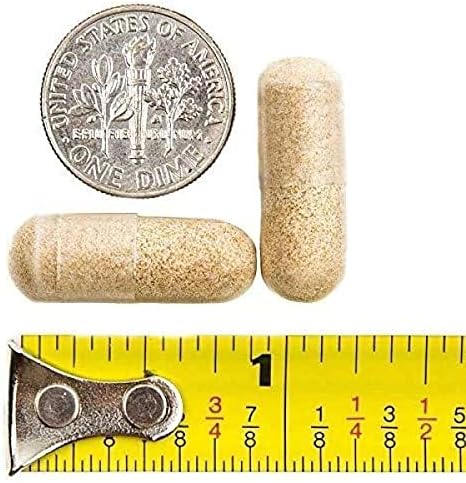 BariatricPal 90-Day Bariatric Vitamin Bundle (Multivitamin ONE 1 per Day! Capsule with 60mg Iron and Calcium Citrate Soft Chews 500mg with Probiotics - Chocolate Mint)