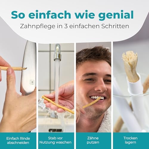 Miswak Toothbrush - Traditional Arabian Toothbrush, Wooden Toothbrush, for Natural White Teeth, 5pcs by BLISSANY