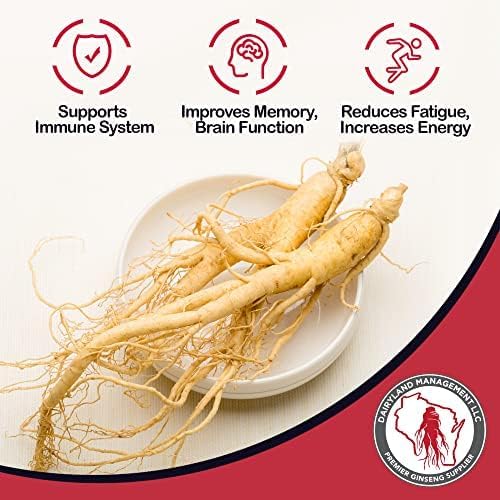 Dairyland Ginseng - Notoginseng Capsules - 75 ct - Tienchi Ginseng Complex Capsules - Authentic Notoginseng Capsule - Vegan Panax Ginseng Capsules for Use as a Daily Immune Support