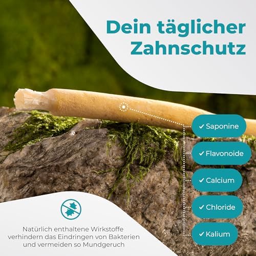 Miswak Toothbrush - Traditional Arabian Toothbrush, Wooden Toothbrush, for Natural White Teeth, 5pcs by BLISSANY