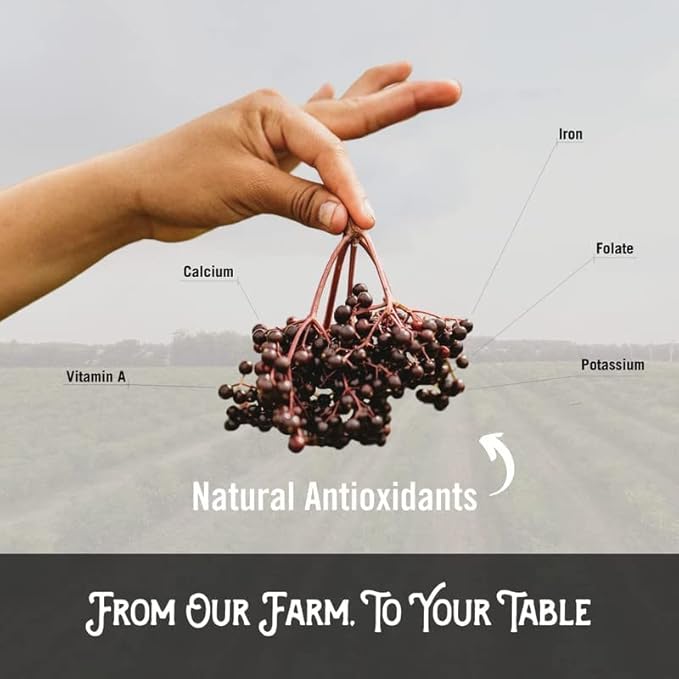 Norm's Farms Black Elderberry Wellness Syrup + Honey, Cinnamon, & Cloves - Natural Immune Support - Kosher, Gluten Free, Non-GMO - 8 Oz. Bottle