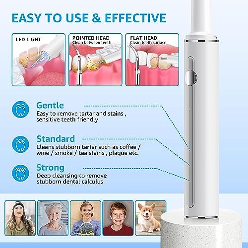 Teeth Cleaning Kit Plaque Remover for Teeth, Portable Dental Plaque Remover Tool with LED, Plaque Blaster for Human Teeth with 3 Modes, Tooth Scraper Plaque Tartar Remover for Teeth with Dental Tools