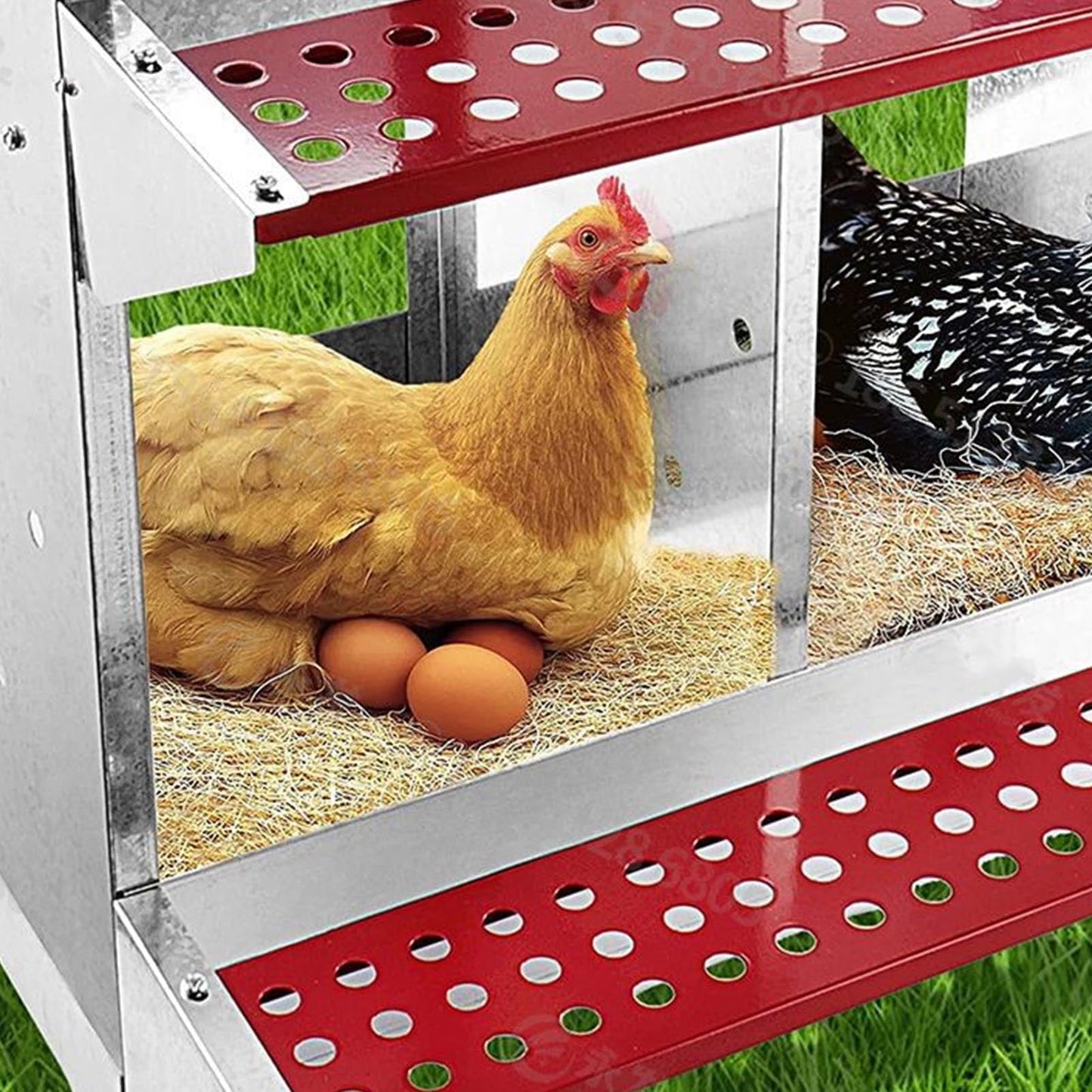 Chicken Coop, 3 Compartment Large Space Chicken Nesting Box Galvanized Iron Plate Easy To Assemble  For Egg Collection