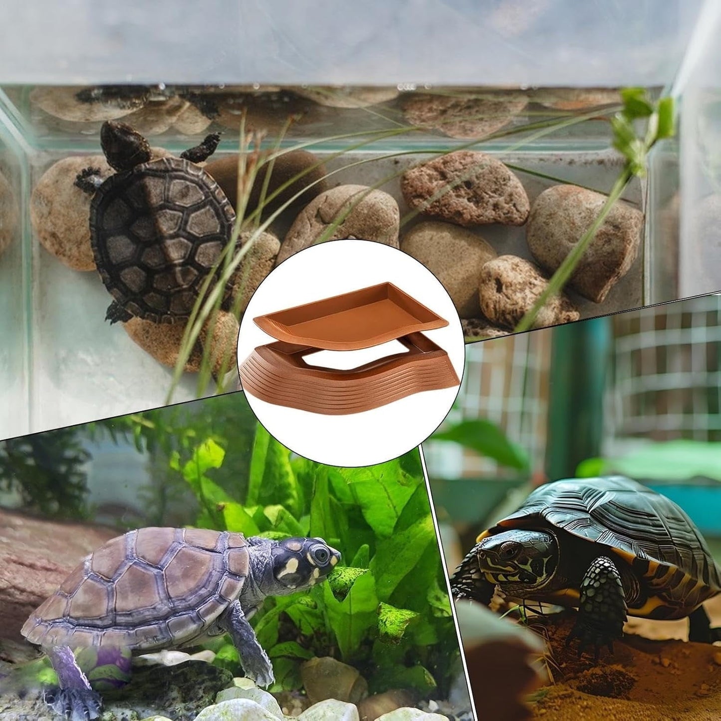 Non-Slip Turtle Pond Bowl | Multi-Purpose Reptile Water Dispenser | Durable ABS Material | Stable Right Angle Design | Removable Easy Clean Sink | For Turtles Snakes Lizards | 1 Pack