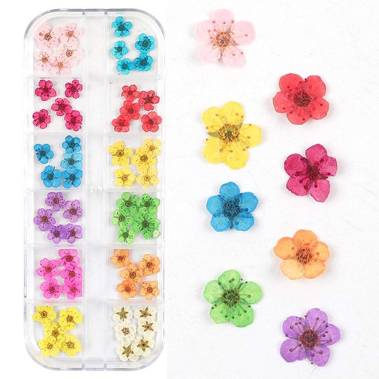 Valuu 3D Nail Dried Flowers Sticker