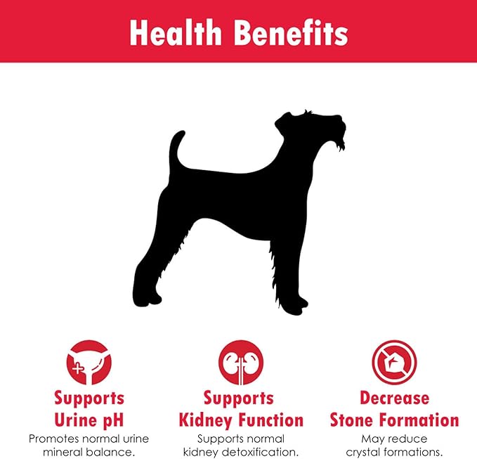 K-Plus Potassium Gluconate Renal Gel Plus Cranberry and EPA for Dogs and Cats - Veterinarian Approved Renal Supplement - Supports Potassium Balance - (6 Pack, Gel)