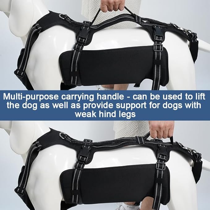 Coodeo Dog Lift Harness, Support & Recovery Sling, Pet Rehabilitation Lifts Vest Adjustable Breathable Straps for Old, Disabled, Joint Injuries, Arthritis, Paralysis Dogs Walk (Black,L)