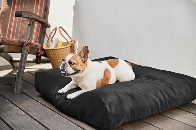 K9 Ballistics Tough Rectangle Pillow Large Dog Bed - Removable Cover, Washable, Durable & Water Resistant Dog Bed Made for Big Dogs 40"x34", Obsidian Black