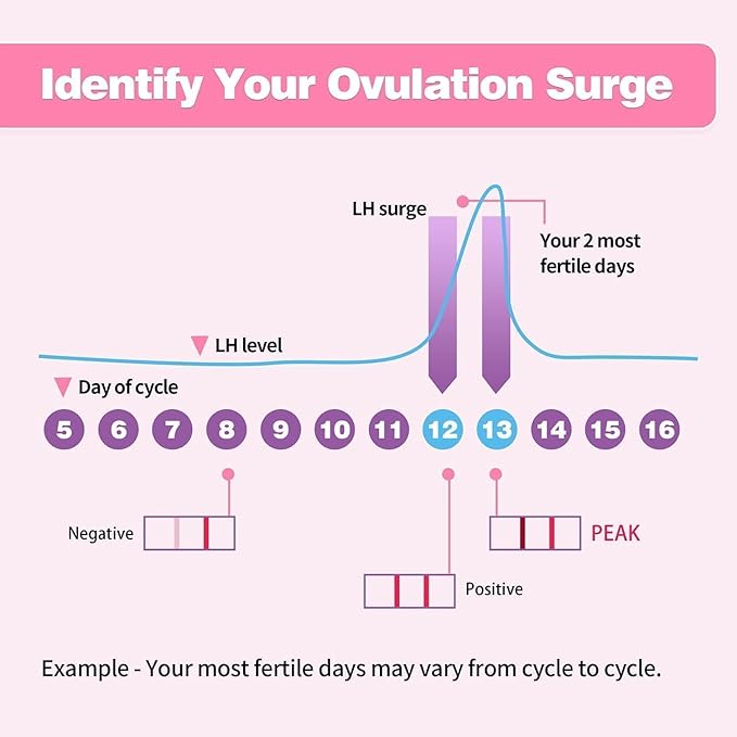 Ovulation Test Strips, Fertility Test Ovulation Predictor Kit with Free Urine Cup for Women Natural Cycles, 50 LH Strips (50)