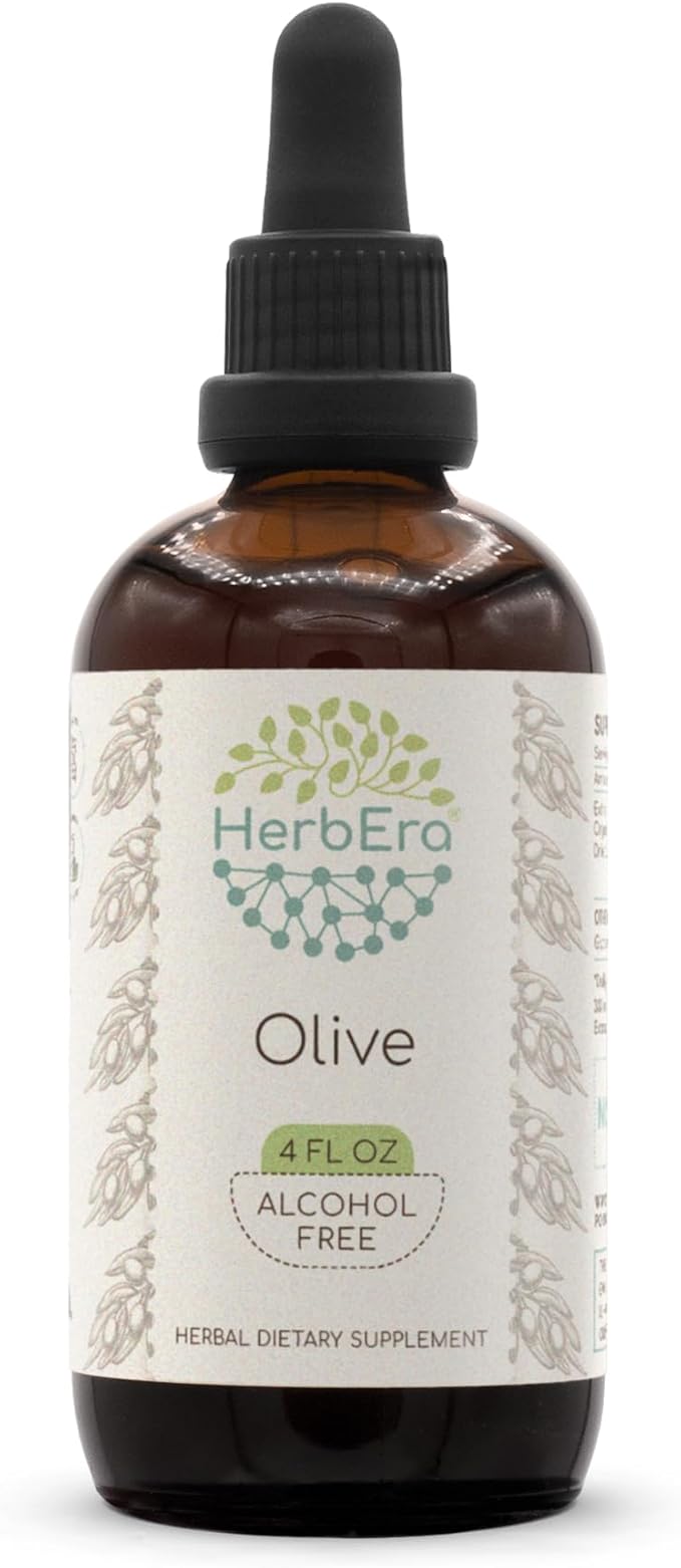 Olive B120 Alcohol-Free Herbal Extract Tincture, Concentrated Liquid Drops Natural Olive (Olea europaea) Dried Leaf 4 fl oz