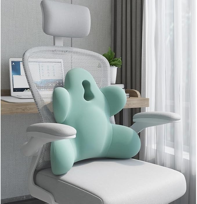 Lumbar Support Pillow for Office Chair, Back Pillow Lumbar Support for Car, Chair, Sofa - Improve Lower Back Pain Relief & Sitting Posture, Memory Foam Back Cushion for Long Sitting (Dark Grey)