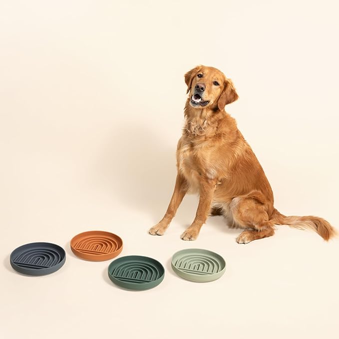The Slowdown Bowl Silicone Slow Feeder for Dogs & Puppies, Slow Eating Modern Lick Mat Design Reduces Gulping, Fits 2.5 Cups 9.5” Across x 1.5” Tall, Mealtime Challenge, Large-Charcoal