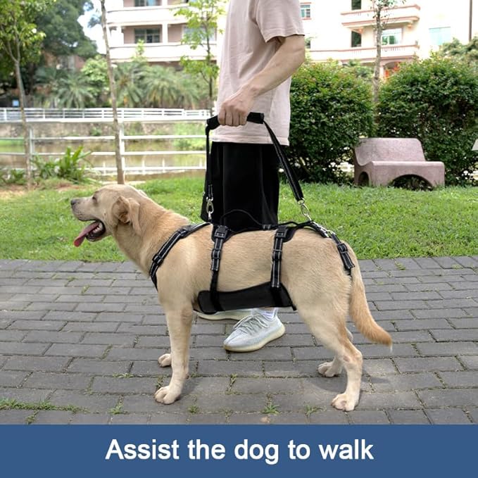 Coodeo Dog Lift Harness, Support & Recovery Sling, Pet Rehabilitation Lifts Vest Adjustable Breathable Straps for Old, Disabled, Joint Injuries, Arthritis, Paralysis Dogs Walk (Black,L)