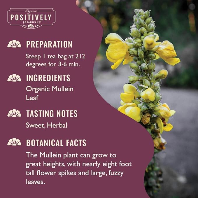 Organic Positively Botanicals Company, Mullein Herbal Tea Bags, 20 Count