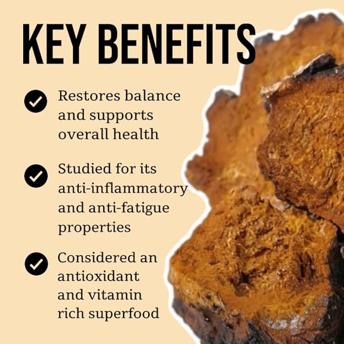 North Spore Organic Chaga Mushroom Tincture (4 oz) | 100% Fruiting Body Extracts | Immune Support, Energy, and Balance | Certified Organic, Vegan, Non-GMO | Adaptogenic, Nootropic | Made in USA