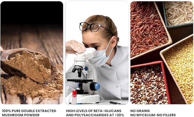 Ellie's Best 7 Mushroom Powder Extract Blend Supplement Organic 114 Servings High Potency Double Extracted Cordyceps, Reishi, Turkey Tail, Chaga, Lion's Mane - 4oz