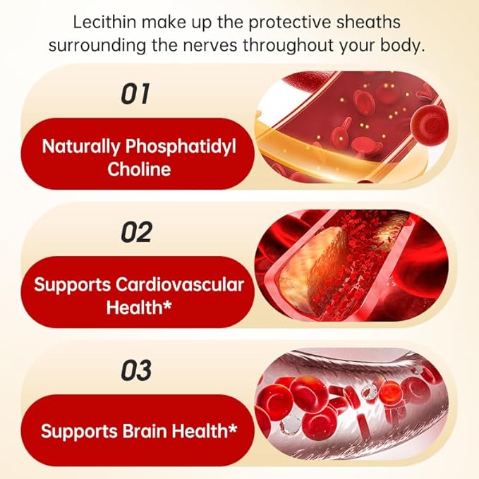 Lecithin-240 Softgels-Supports Brain Health
