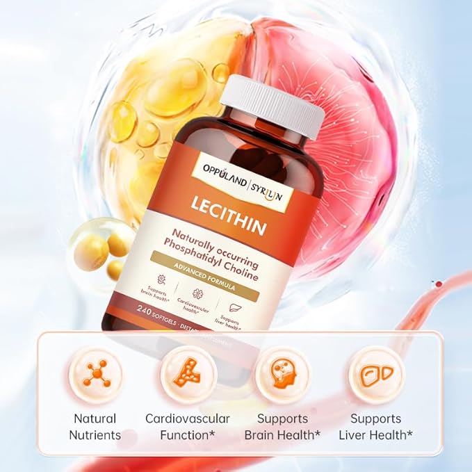 Lecithin-240 Softgels-Supports Brain Health